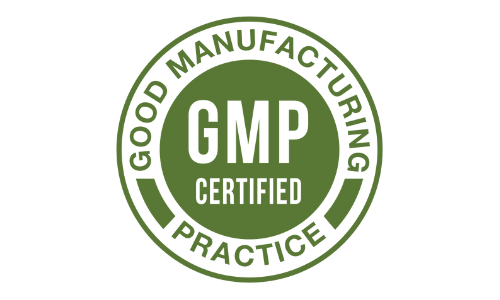 Eyesight Max GMP Certified